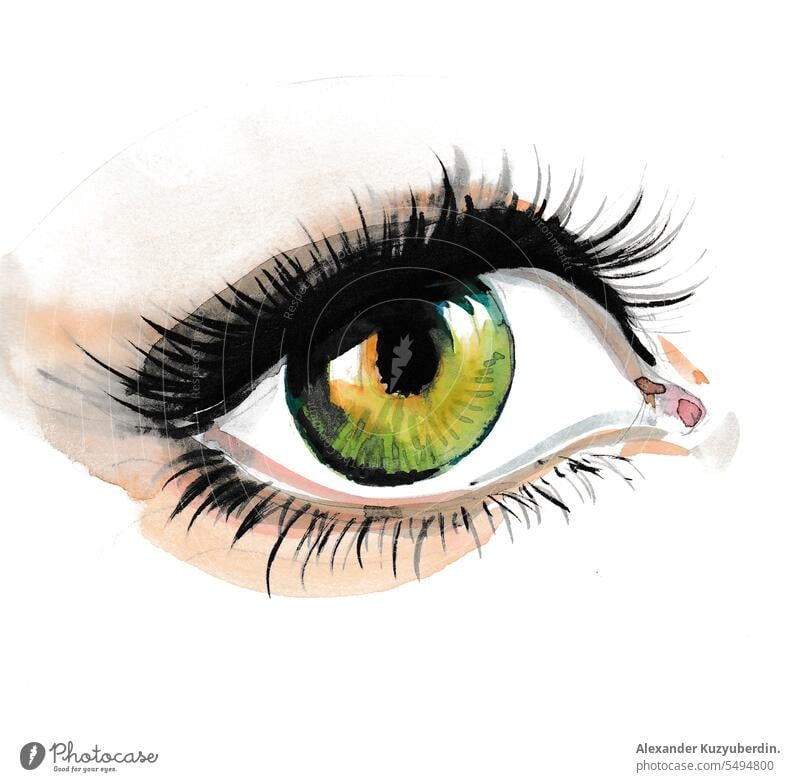 Aquarell grünes Auge Kunstwerk Hintergrund schön Schönheit blau Farbe Design Augenbraue Wimpern Mode Mädchen graphisch menschlich Grafik u. Illustration