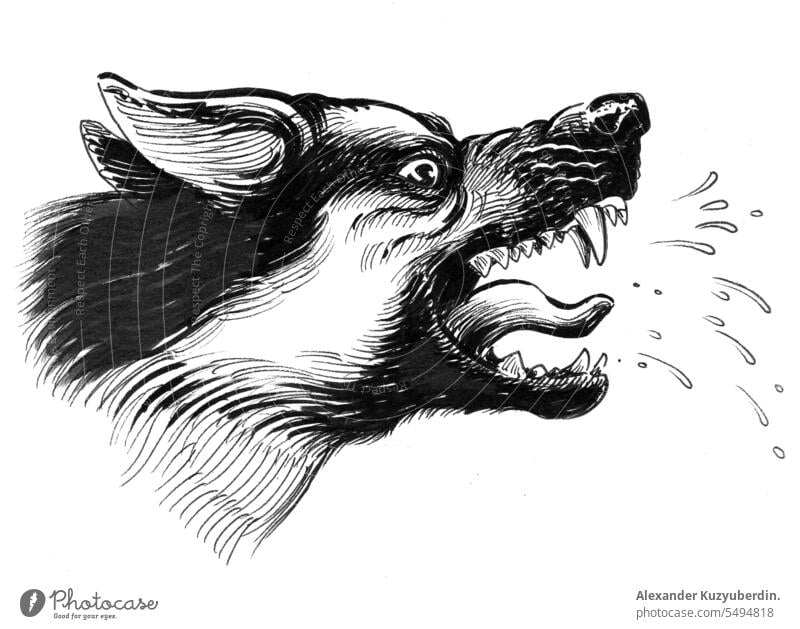 Wütender Hund. Tinte schwarz und weiß Zeichnung wütend Tier Kunst Hintergrund sich[Akk] hüten Comic kämpfen Kopf Grafik u. Illustration vereinzelt Säugetier