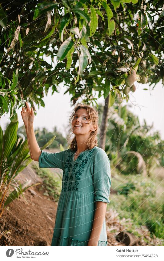 eine junge Frau pflückt draußen Mangos von einem Baum Mangofrucht Bäume Frauen nur Frauen Frucht Farbfoto Ernährung Lebensmittel Vegetarische Ernährung
