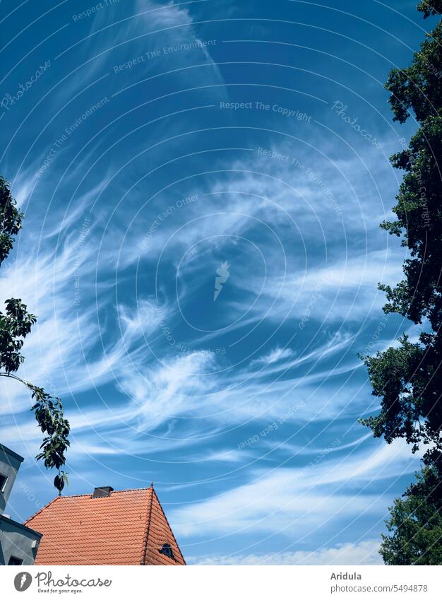 Eindrucksvolle Schleierwolken über Häuserdächern und Bäumen Wolken Himmel blau Blauer Himmel Schönes Wetter Natur Luft Haus Dach Sommer