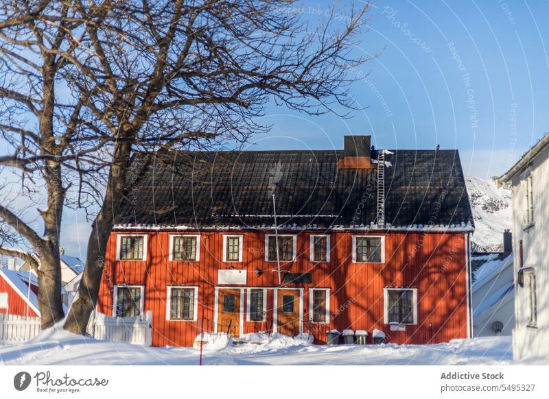 Fassade eines roten Hauses im Winter Cottage Schnee Außenseite hölzern Wohnsiedlung Baum Berge u. Gebirge Norwegen Lappland lofoten Insel Norden Europa