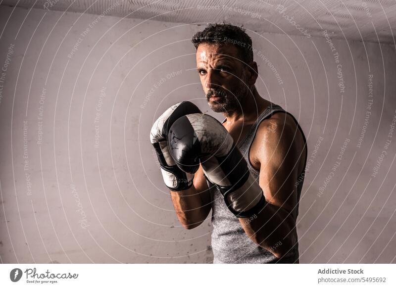 Muskulöser erwachsener Sportler in Boxhandschuhen steht in der Nähe einer grauen Wand Mann Boxer Athlet Training stark maskulin selbstbewusst männlich