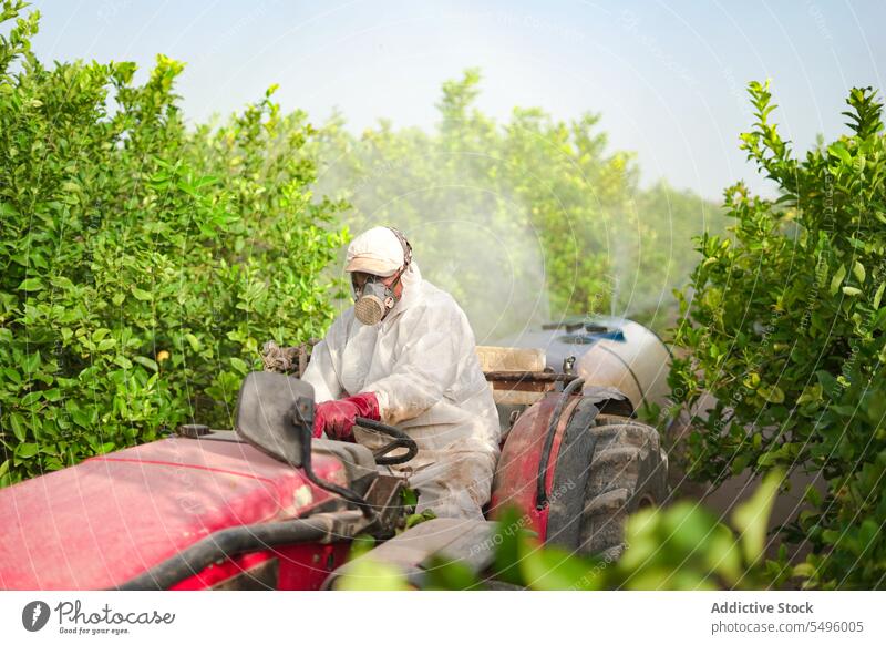 Anonymer Landwirt sprüht beim Traktorfahren Pestizide auf Zitronenbäume Spray Insektenvernichtungsmittel Baum Ackerbau schützend Anzug Mundschutz Bauernhof