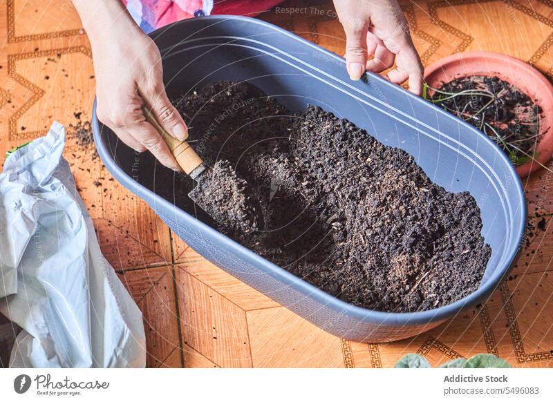 Frau pflanzt Setzlinge in einem Topf auf dem Boden zu Hause Gärtner vorbereiten fruchtbar mischen Pflanze Hobby Werkzeug Spachtel heimwärts kultivieren Prozess