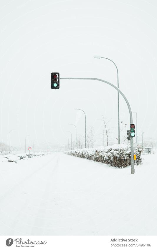 Grüne Ampel auf verschneiter Straße grün Regel signalisieren Kontrolle Winter Beitrag Schnee Aufmerksamkeit glühen Zeichen Regelung Ermahnung Hinweisschild kalt