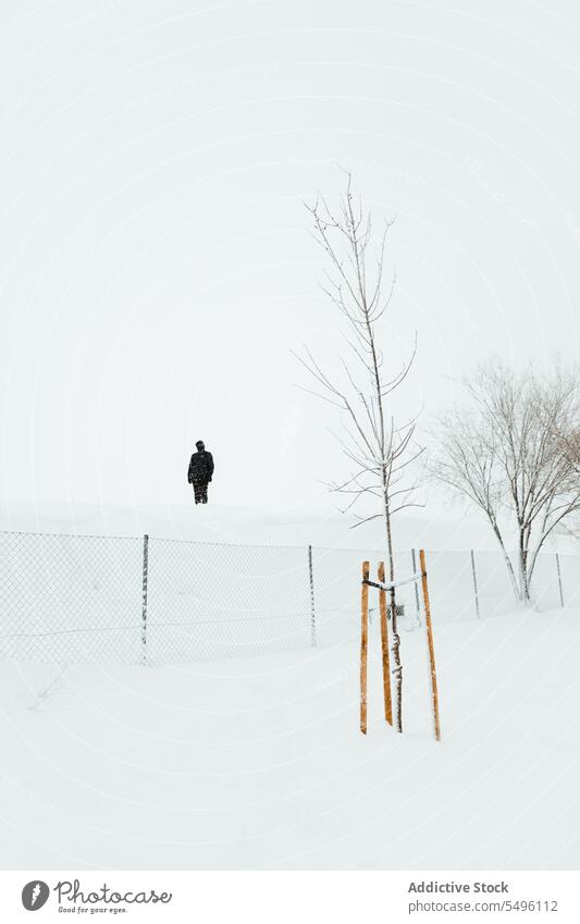 Stehende Person in verschneitem Gelände mit kahlen Bäumen Winter Baum Schnee Nebel einsam Natur Umwelt kalt bedeckt Zaun Dunst Landschaft Schneewehe Winterzeit