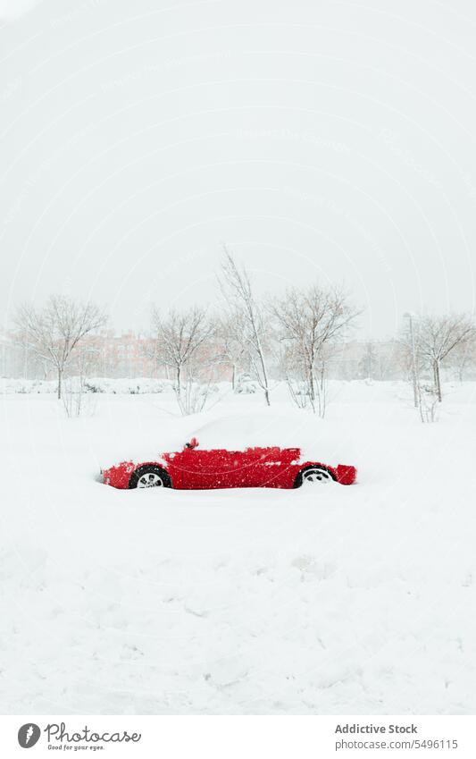 Auto mit Schnee bedeckt bei Schneefall PKW rot Schneewehe Winter geparkt vergessen Dunst wolkig Winterzeit Verkehr laublos Baum Fahrzeug Automobil Schneeflocke