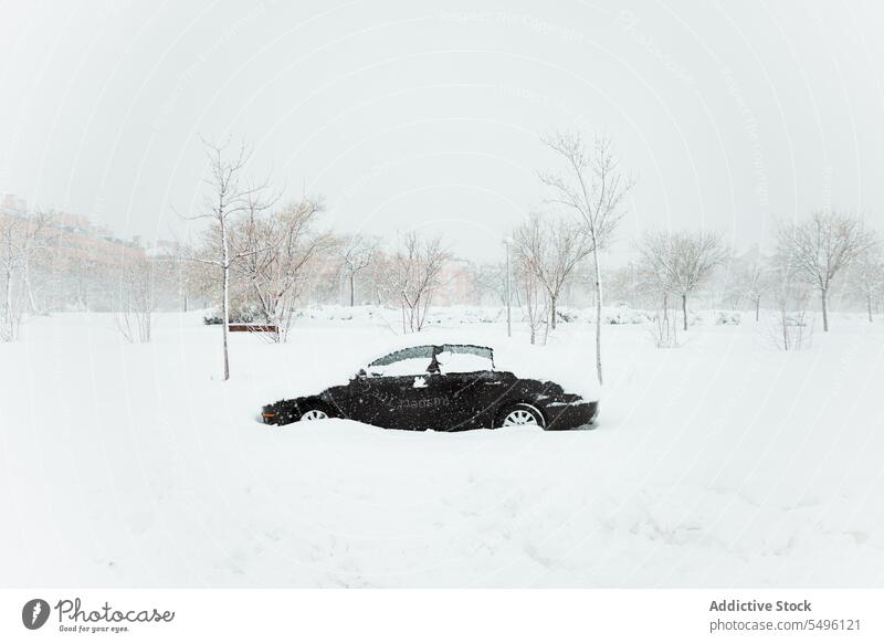 Auto mit Schnee bedeckt bei Schneefall PKW Schneewehe Winter geparkt vergessen Dunst wolkig Winterzeit Verkehr laublos Baum Fahrzeug Automobil Schneeflocke