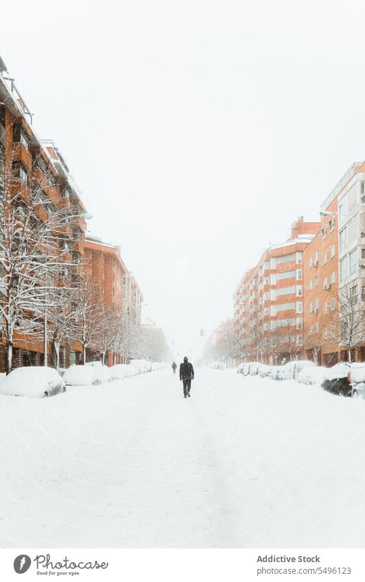 Menschen gehen auf verschneiter Straße zwischen Gebäuden Fußgänger Schnee Baum kalt Winter Revier Gasse Laufsteg trist Großstadt laublos wohnbedingt Winterzeit