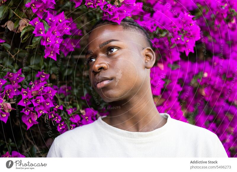 Selbstbewusster schwarzer Teenager in der Nähe blühender Blumen Porträt Junge selbstbewusst ernst Park geblümt Blütezeit Natur Pflanze Flora jung männlich