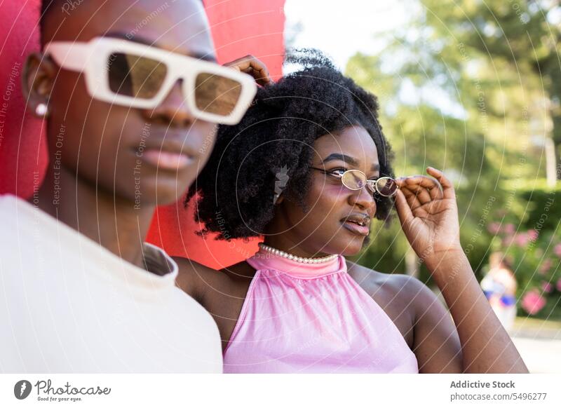 Stilvolles schwarzes Teenagerpaar mit Brille Paar Bonden Afro-Look Liebe krause Haare Zusammensein Porträt Frisur genießen Sonnenbrille jung stehen Freude Bäume