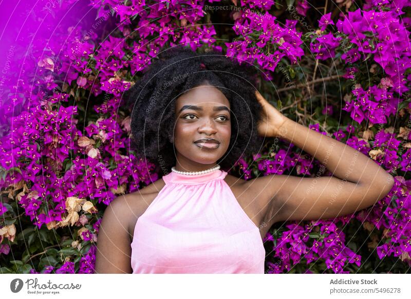 Fröhliches schwarzes Teenager-Mädchen in der Nähe von blühendem Busch mit lila Blumen Afro-Look Porträt krause Haare Garten positiv Lächeln Mode geblümt Frisur