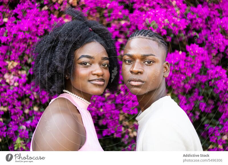 Schwarzes Teenagerpaar in der Nähe blühender Blumen Paar Afro-Look Zusammensein Frisur jung stehen Bonden trendy Freundin sorgenfrei krause Haare schwarz