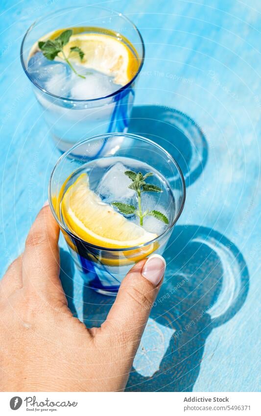 Sommercocktail mit Zitronenwodka, Zitronenscheibe und wilden Minzblättern Cocktail Vodka Scheibe Minze Blatt Tisch Oberfläche Getränk Glas durchsichtig Eis