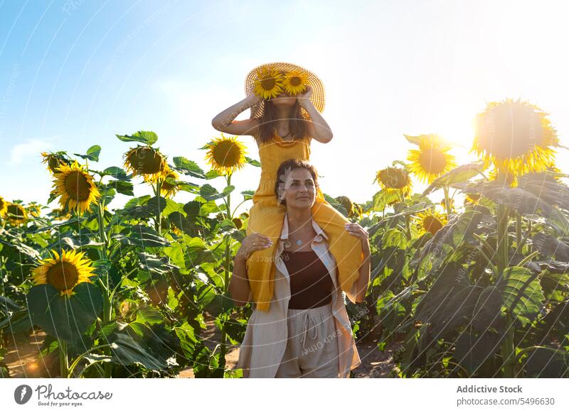 Frau trägt Tochter mit Sonnenblumen auf den Schultern Mutter tragen Sommer Mädchen spielerisch Bauernhof gesichtslos Familie Blume Kind Klarer Himmel Feiertag