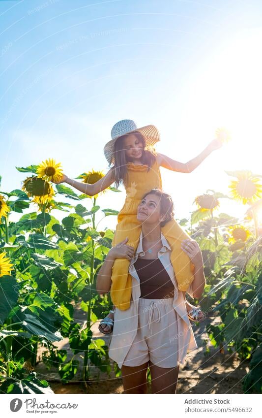 Frau trägt Tochter auf den Schultern in einem Sonnenblumenfeld Mutter tragen Sommer Lächeln Mädchen Wochenende Familie Kind Klarer Himmel Liebe Feiertag