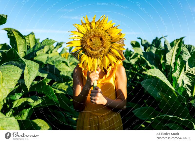 Anonymes Mädchen versteckt Gesicht mit Sonnenblume inmitten von Pflanzen auf dem Bauernhof versteckend gesichtslos Sommer Wochenende Natur schön grün wachsen
