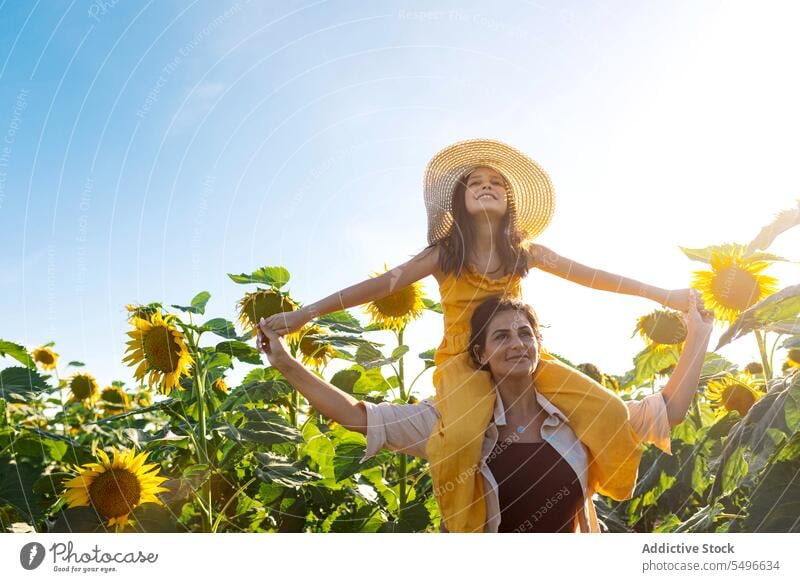 Frau trägt Mädchen auf den Schultern in einem Sonnenblumenfeld Mutter Tochter tragen Sommer Lächeln Wochenende Familie Kind Klarer Himmel Liebe Feiertag