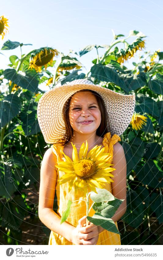 Preteen Mädchen lächelnd und hält Sonnenblume in Bauernhof Lächeln niedlich Porträt Kind Glück Sommer Wochenende Hut schön Beteiligung Lifestyle gelb Natur