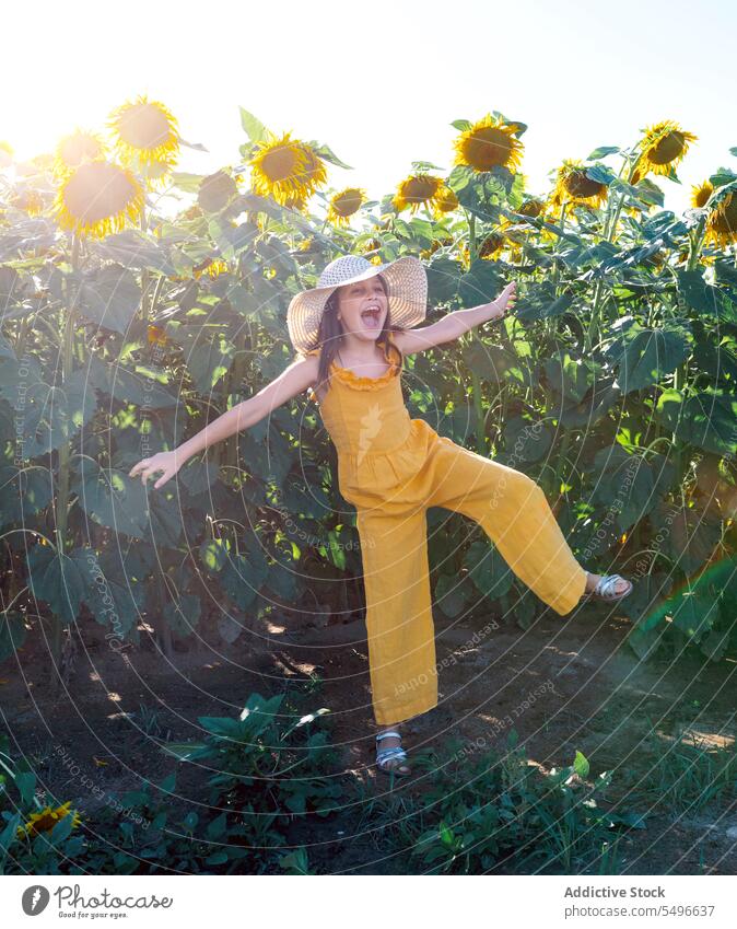 Preteen-Mädchen schreit fröhlich im Feld auf Sonnenblumen schreien heiter Stehen Arme ausgestreckt Natur Sommer Kind Lifestyle gelb Freizeitkleidung Hut Ernte