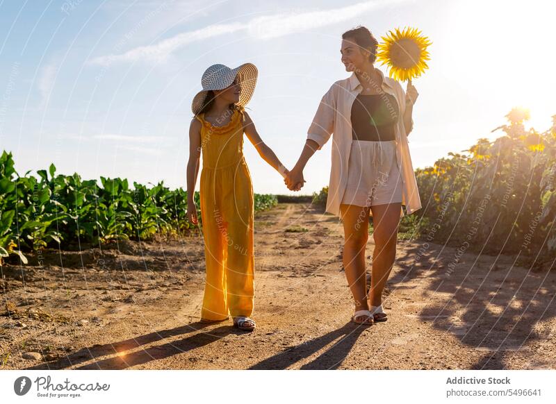 Frau und Mädchen halten sich an den Händen und stehen auf einem Sonnenblumenfeld Mutter Tochter Beteiligung Hand Ernte Feld Wochenende Sommer Lifestyle Liebe