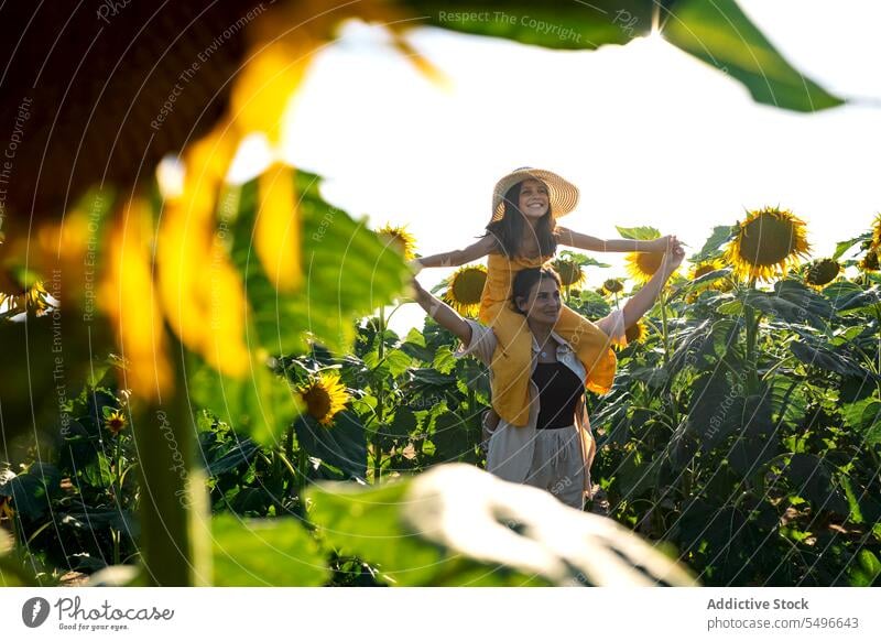 Frau trägt Mädchen auf den Schultern in einem Sonnenblumenfeld Mutter Tochter tragen Sommer Lächeln Wochenende Familie Kind Klarer Himmel Liebe Feiertag