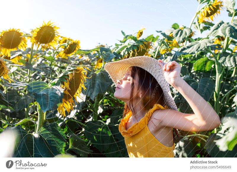 Mädchen mit geschlossenen Augen riecht an Sonnenblumen auf dem Bauernhof riechen niedlich Augen geschlossen Wochenende Sommer Kind Hut Natur Lifestyle Blume