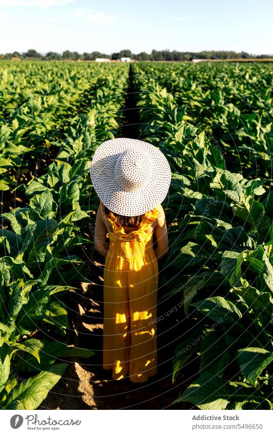 Rückenansicht eines anonymen Mädchens, das inmitten von Pflanzen auf einem Bauernhof steht Ackerbau Landschaft Sommer Kind Wochenende Natur Hut Freizeitkleidung
