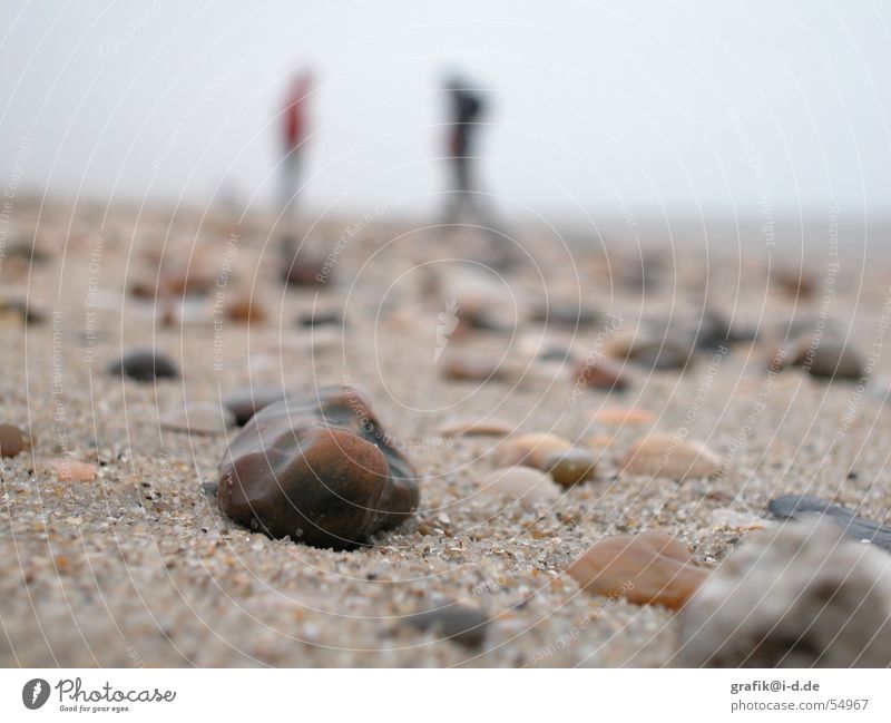 sand am strand Strand Meer Winter Unschärfe Tag nah Mensch Paar mehrere Stein Sand tief Detailaufnahme paarweise