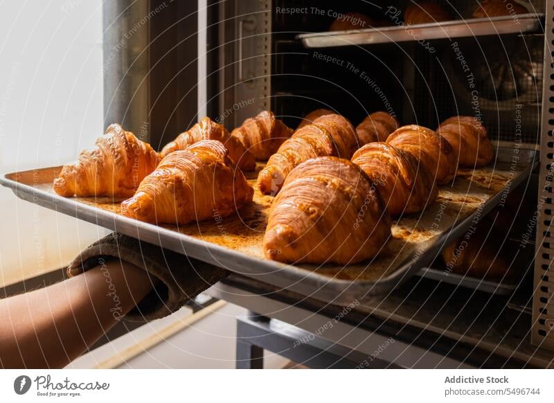 Frisch gebackene Croissants auf der Theke in der Bäckerei Ofen lecker Gebäck Abfertigungsschalter frisch Tablett Hand geschmackvoll Lebensmittel selbstgemacht