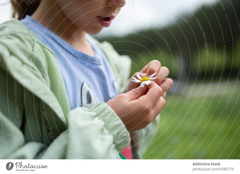 Anonymes Kind in Jacke auf dem Gehweg eines grünen Parks bei Tageslicht Bürgersteig Blume Konzentration Weg niedlich Windstille Mädchen Fokus Kindheit