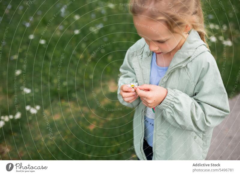 Kind in Jacke steht bei Tageslicht auf dem Gehweg eines grünen Parks Bürgersteig Blume Konzentration Weg niedlich Windstille neugierig Mädchen Fokus Kindheit