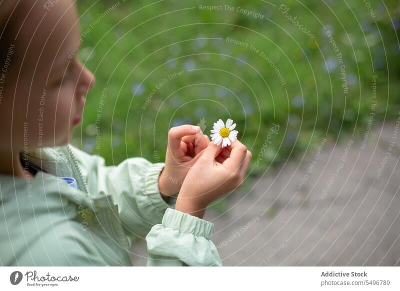Nachdenklicher Junge in Jacke auf dem Gehweg eines grünen Parks bei Tageslicht Kind Bürgersteig Blume Konzentration Weg niedlich Windstille Mädchen Fokus