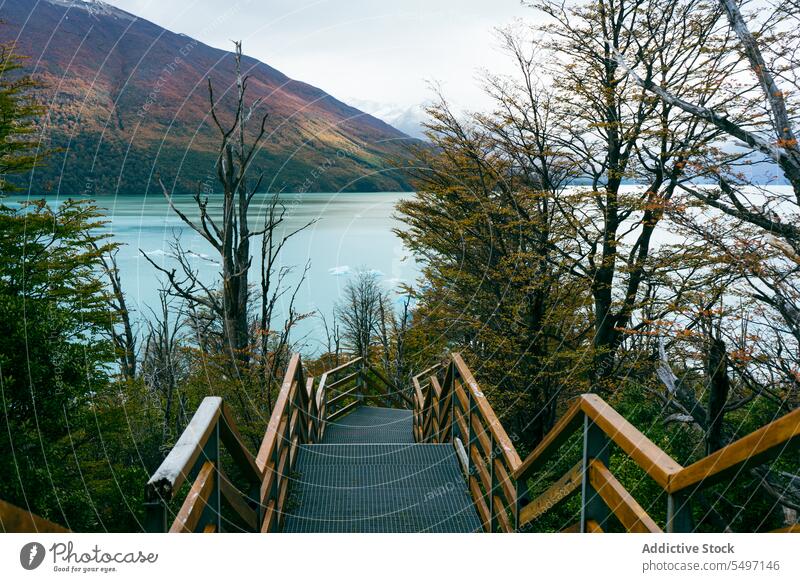 Metallische Treppe im Wald, die zu einem See mit Berg führt Berge u. Gebirge Landschaft Natur farbenfroh Baum malerisch Umwelt Weg ruhig Reflexion & Spiegelung