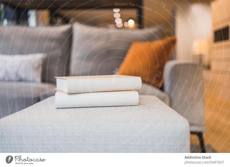 Modernes Wohnzimmer mit bequemem Sofa mit Kissen in Lichtern Innenbereich Design Möbel Laden Probe Buch gemütlich Raum kreativ Stil Glaswand Komfort Kopfkissen