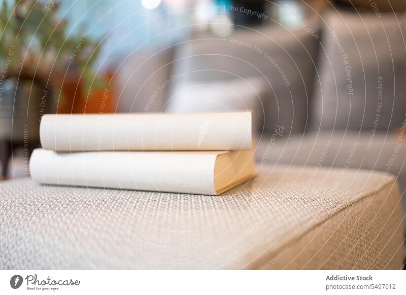 Modernes Wohnzimmer mit bequemem Sofa mit Kissen in Lichtern Innenbereich Design Möbel Laden Probe Buch gemütlich Raum kreativ Stil Glaswand Komfort Kopfkissen