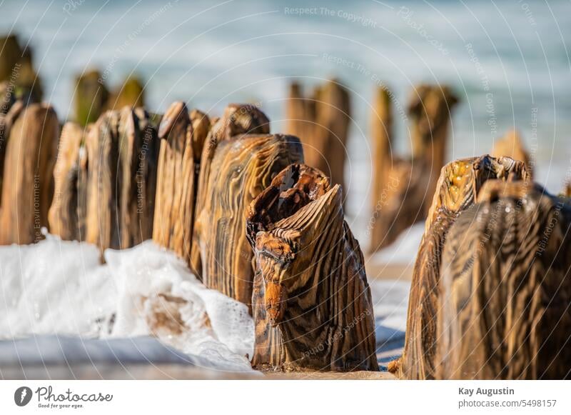 Strukturen an einer alten Buhne Alte Buhne Maserung Detail Küstenschutz Wellenbrecher Dünung Brandung Nordsee Meer Holzpfähle Wasserspitzer gischt Sommer Weite