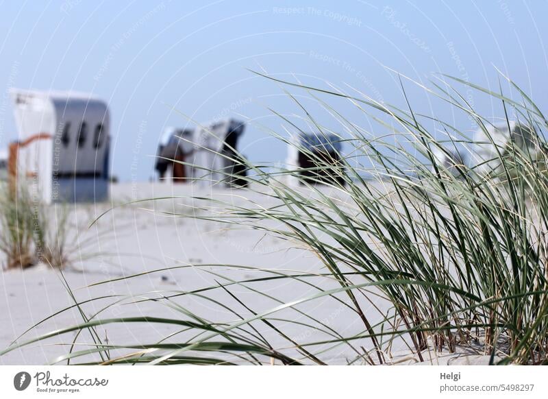 Sommer an der Nordsee Strand Nordseestrand Strandkorb Strandhafer Sand Himmel schönes Wetter Urlaub Ferien Erholung Sommerurlaub Ferien & Urlaub & Reisen