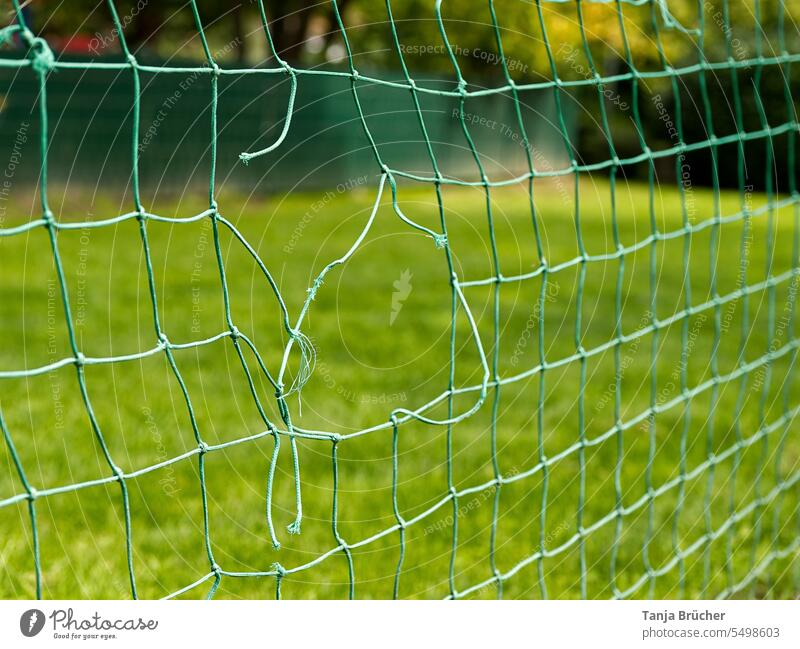 Loch im Netz Netzwerk kaputtes Netzwerk Fangnetz grünes Netz Zerstörungswut Vandalismus Beschädigung Ballfangnetz Knotenpunkte Seil Verwirrung Knoten gerissen