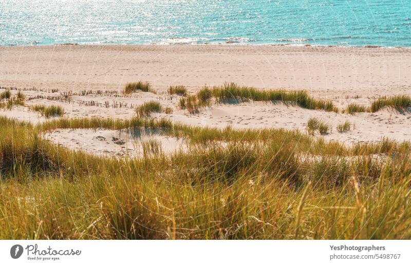 Strandlandschaft auf Sylt mit den Strandhaardünen und dem Meerwasser Herbst Hintergrund schön Schönheit blau hell Küste Küstenlinie Farbe Dunes leer Umwelt