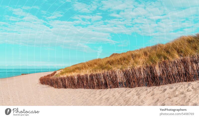 Strandlandschaft auf der Insel Sylt in der Nordsee, unter blauem Himmel Herbst Hintergrund schön Schönheit hell Küste Küstenlinie Farbe Dunes leer Umwelt Europa