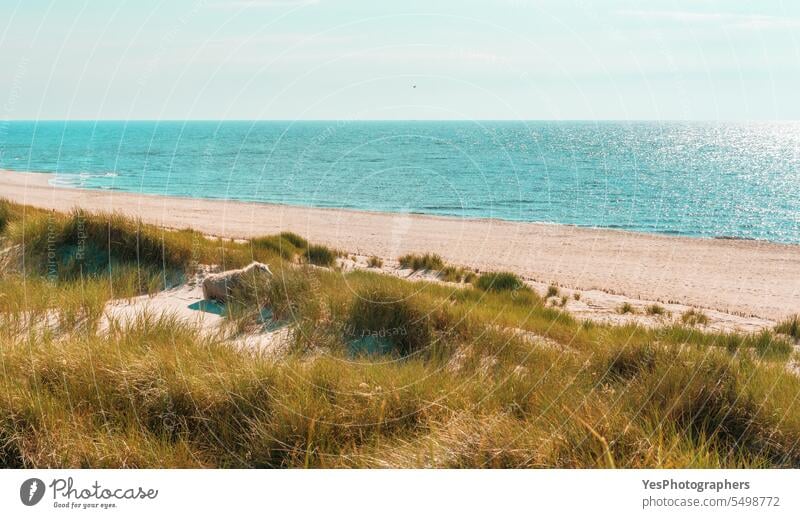 Landschaft auf der Insel Sylt mit Strandhaardünen und Nordsee Herbst Hintergrund schön Schönheit blau hell Küste Küstenlinie Farbe Dunes leer Umwelt Europa
