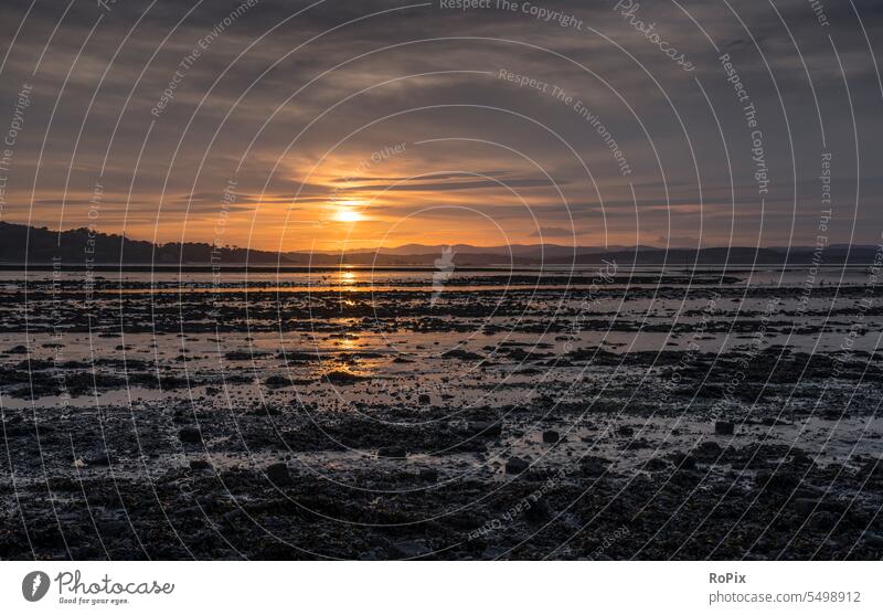 Sonnenuntergang am Cramond beach. Scotland Wattenmeer Nordsee sunset Abendstimmung highlands Küste fleet sea Ozean Biotop Fluss Schilf Gezeiten tides river