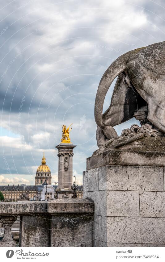 Schwanz eines Löwen Skulptur auf der Brücke Alexandre III, Blick auf das Militärmuseum, Paris Bildhauerei Großstadt Palast Leitwerke Hintern Kuppel golden