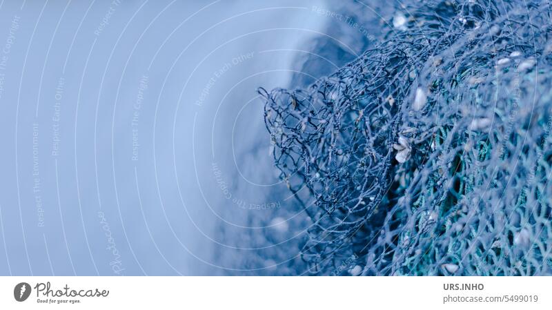 Maritim: das Fischernetz verbindet sich Ton in Ton mit dem blauen Hintergrund daneben viel Freifläche für Text maritim Netz Strukturen & Formen Menschenleer