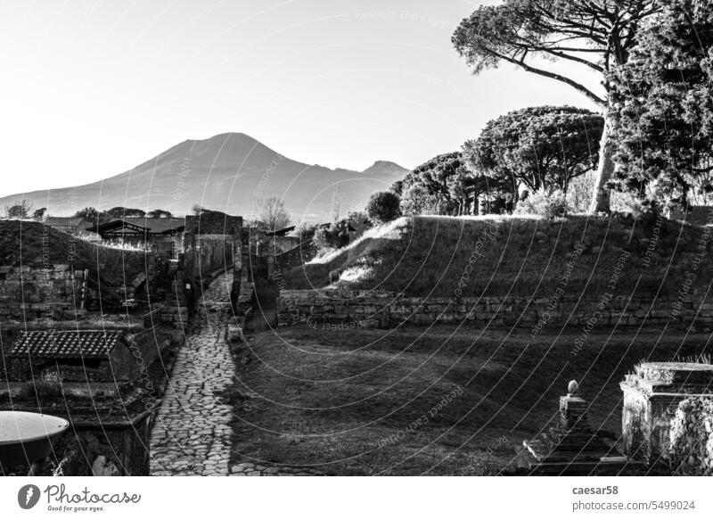 Früher Morgen, eine Straße, die zu den Überresten der antiken Stadt Pompeji führt, im Hintergrund der Vesuv, Süditalien schwarz auf weiß pompeji Ansicht