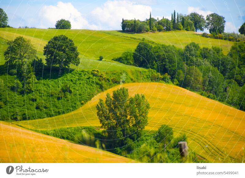 Landschaft in der Toskana Felder Natur farbenfroh Menschenleer