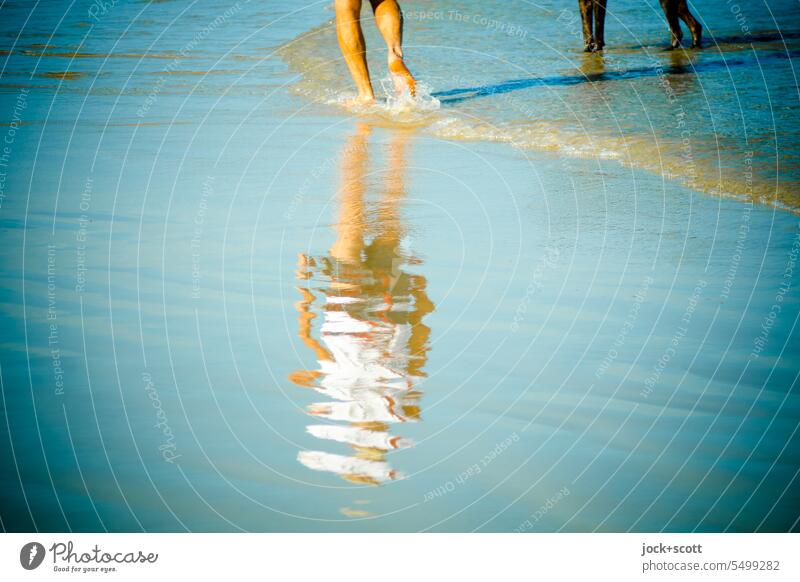 Urlaub mit Hund am Meer Frau Reflexion & Spiegelung Strand Erholung Ferien & Urlaub & Reisen Wasseroberfläche Mensch Silhouette Südpazifik Australien Unschärfe