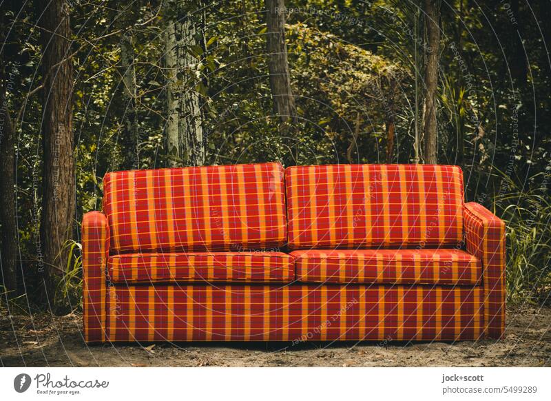 unverkäuflich - ein Sofa abgestellt am Wegesrand Sperrmüll Sitzgelegenheit Müllentsorgung Natur tropisch Umweltverschmutzung entsorgen Laubbaum Abfallentsorgung