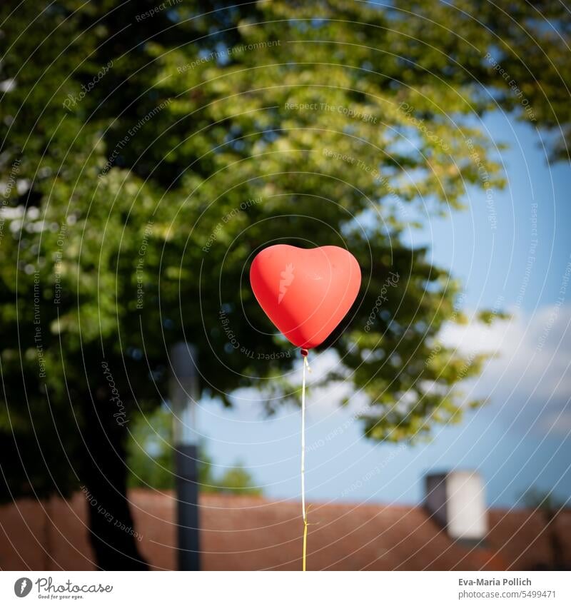roter Luftballon in Herzform vor einem Baum in städlicher Umgebung Außenaufnahme Farbfoto aufsteigen Liebe Hochzeit Gasluftballon Herzluftballon fliegen Dach